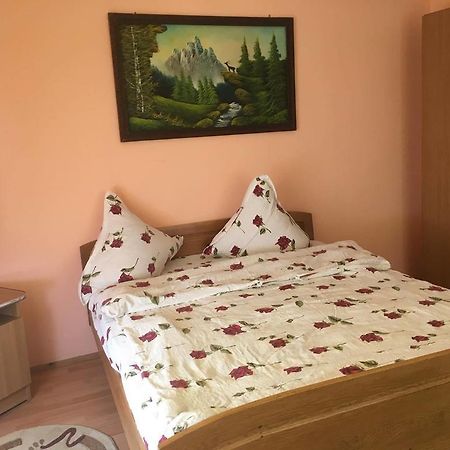 Pensiunea Vasilica Ceterasu Oncesti Экстерьер фото